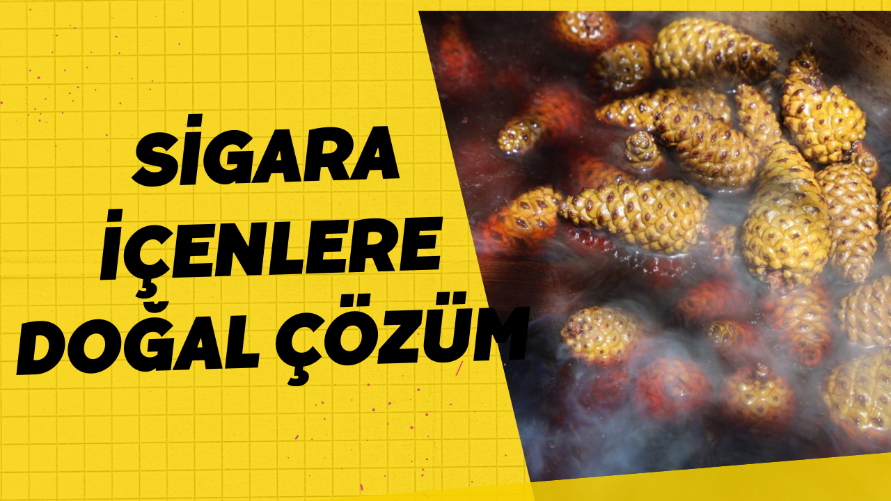 Sigara içenlere doğal çözüm
