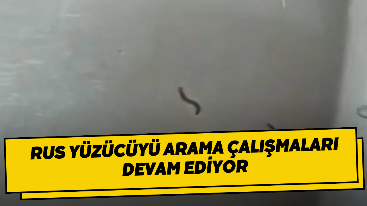 Tekirdağ’da içme suyu şebekesinden kurtlar çıktı