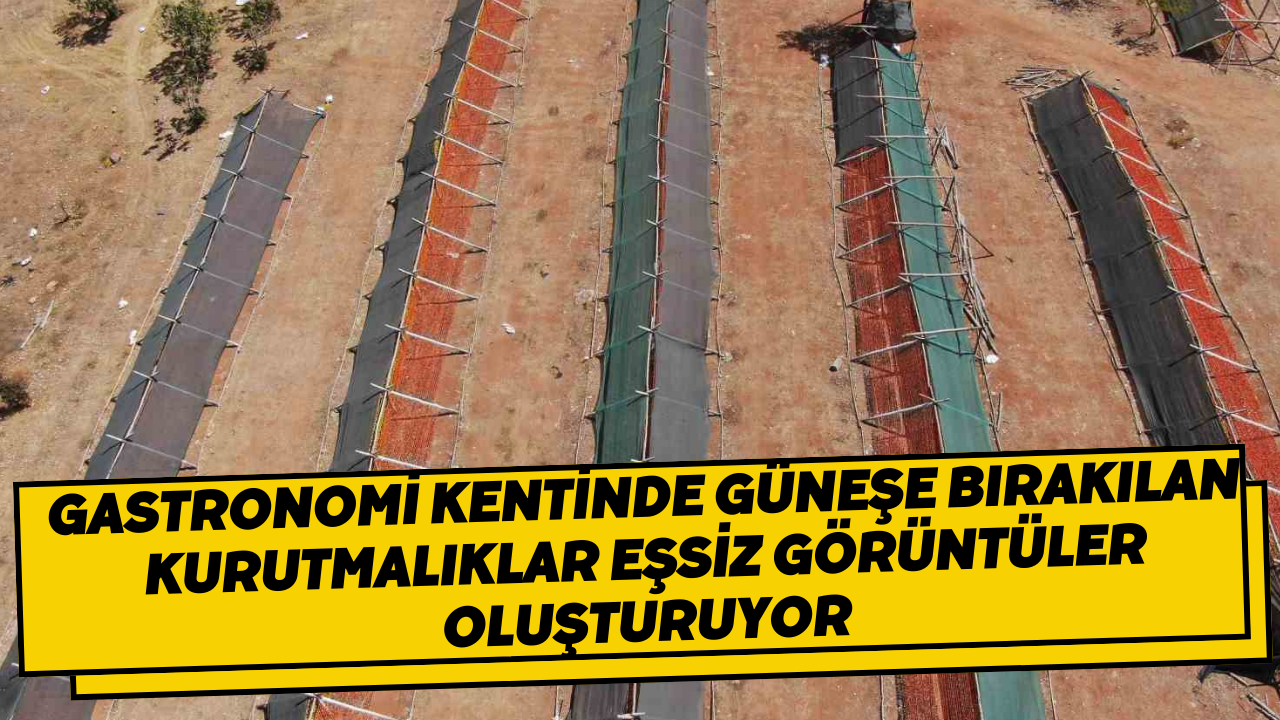 Gastronomi kentinde güneşe bırakılan kurutmalıklar eşsiz görüntüler oluşturuyor