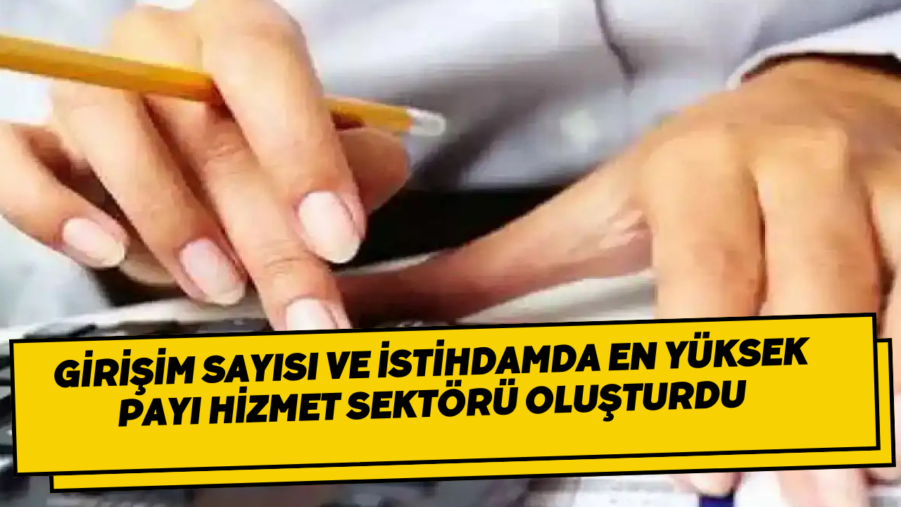 Girişim sayısı ve istihdamda en yüksek payı hizmet sektörü oluşturdu