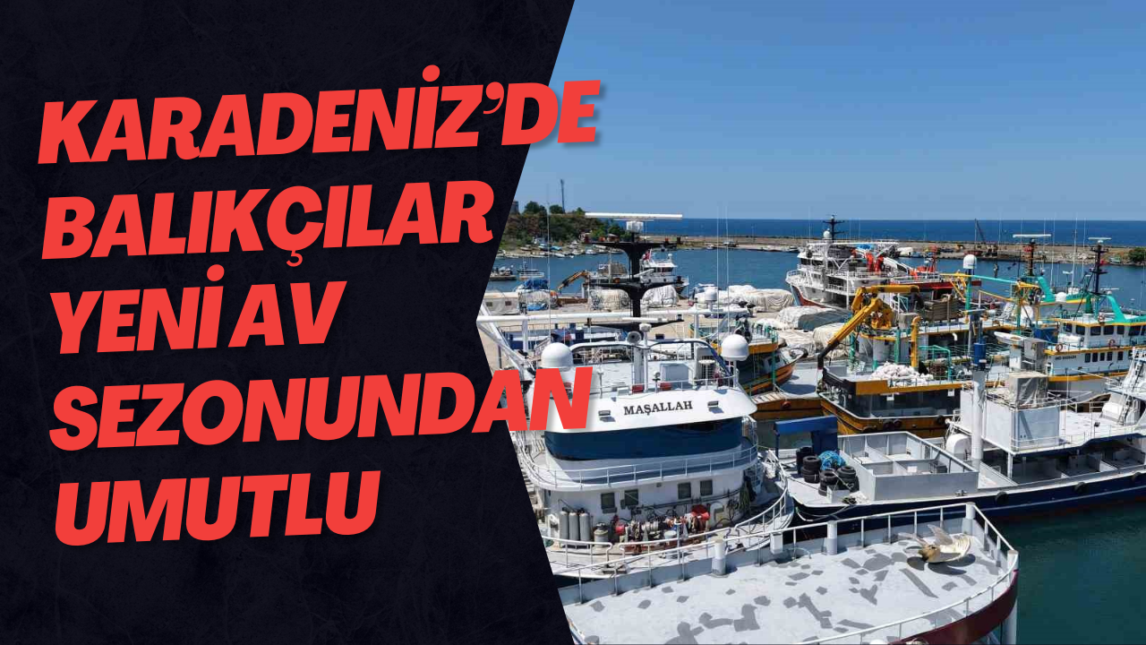Karadeniz’de Balıkçılar Yeni Av Sezonundan Umutlu