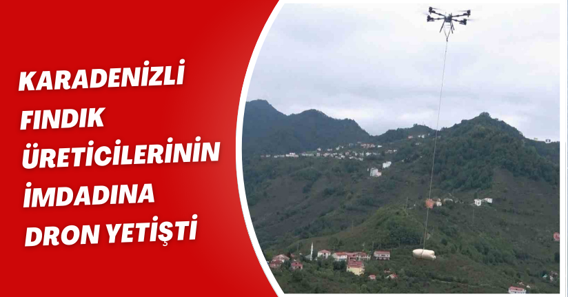 Karadenizli fındık üreticilerinin imdadına dron yetişti