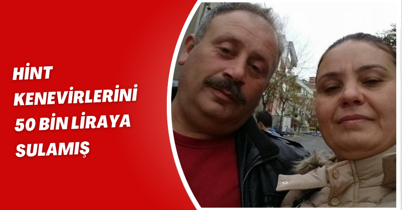 Hint kenevirlerini 50 bin liraya sulamış