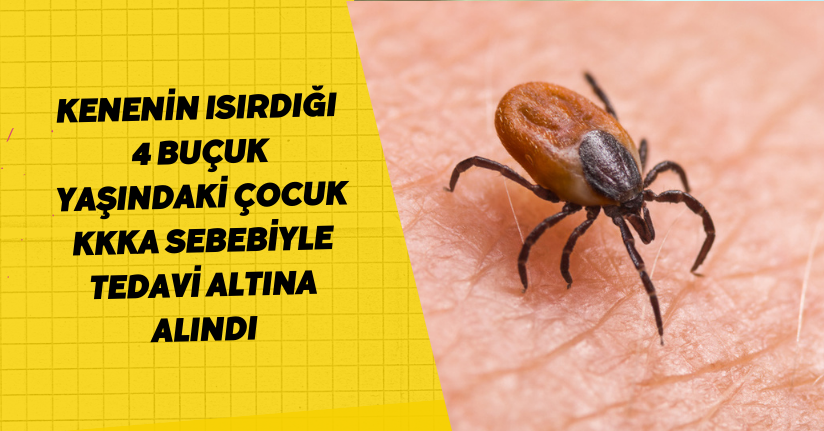 Kenenin ısırdığı 4 buçuk yaşındaki çocuk, KKKA sebebiyle tedavi altına alındı