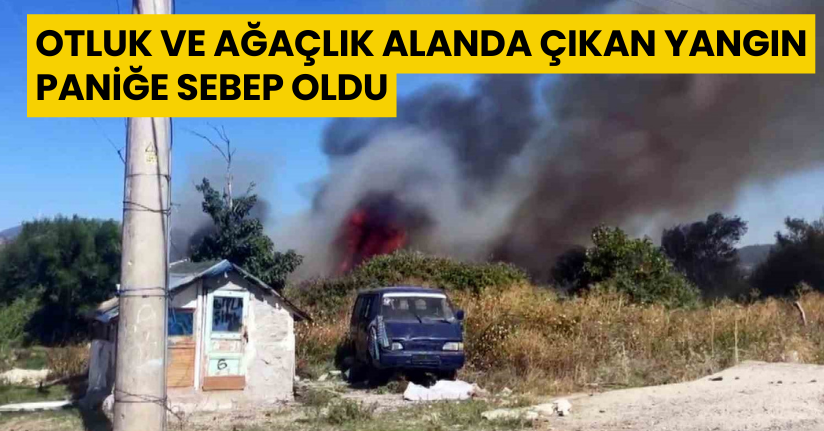 Otluk ve ağaçlık alanda çıkan yangın paniğe sebep oldu