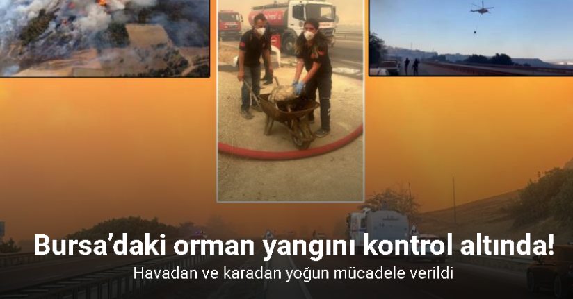 Bursa’daki orman yangını kontrol altına alındı