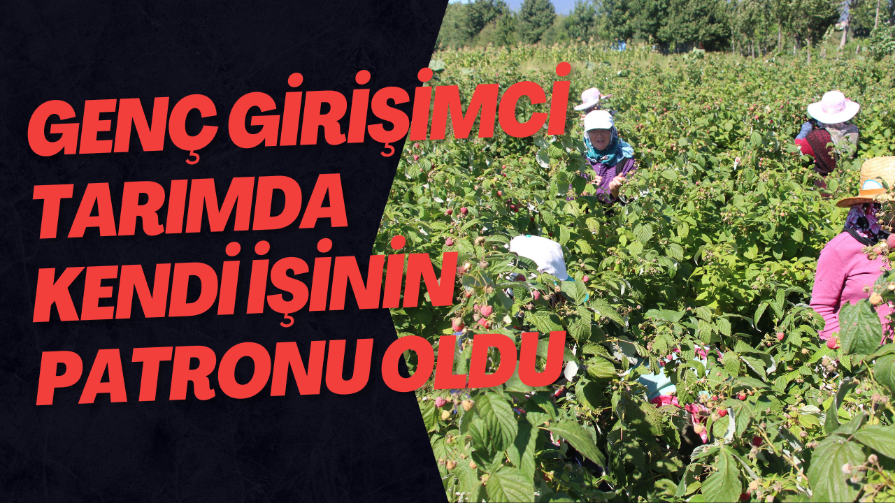 Genç Girişimci Tarımda Kendi İşinin Patronu Oldu
