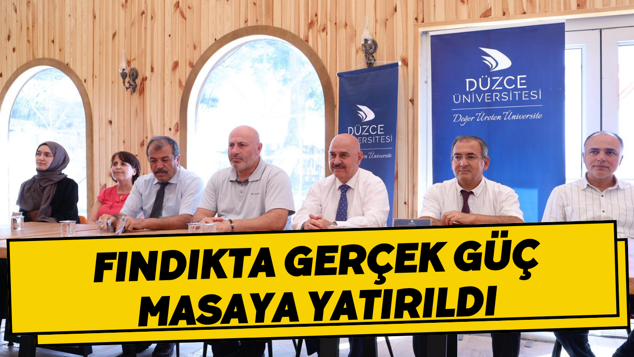 Fındıkta Gerçek Güç Masaya Yatırıldı