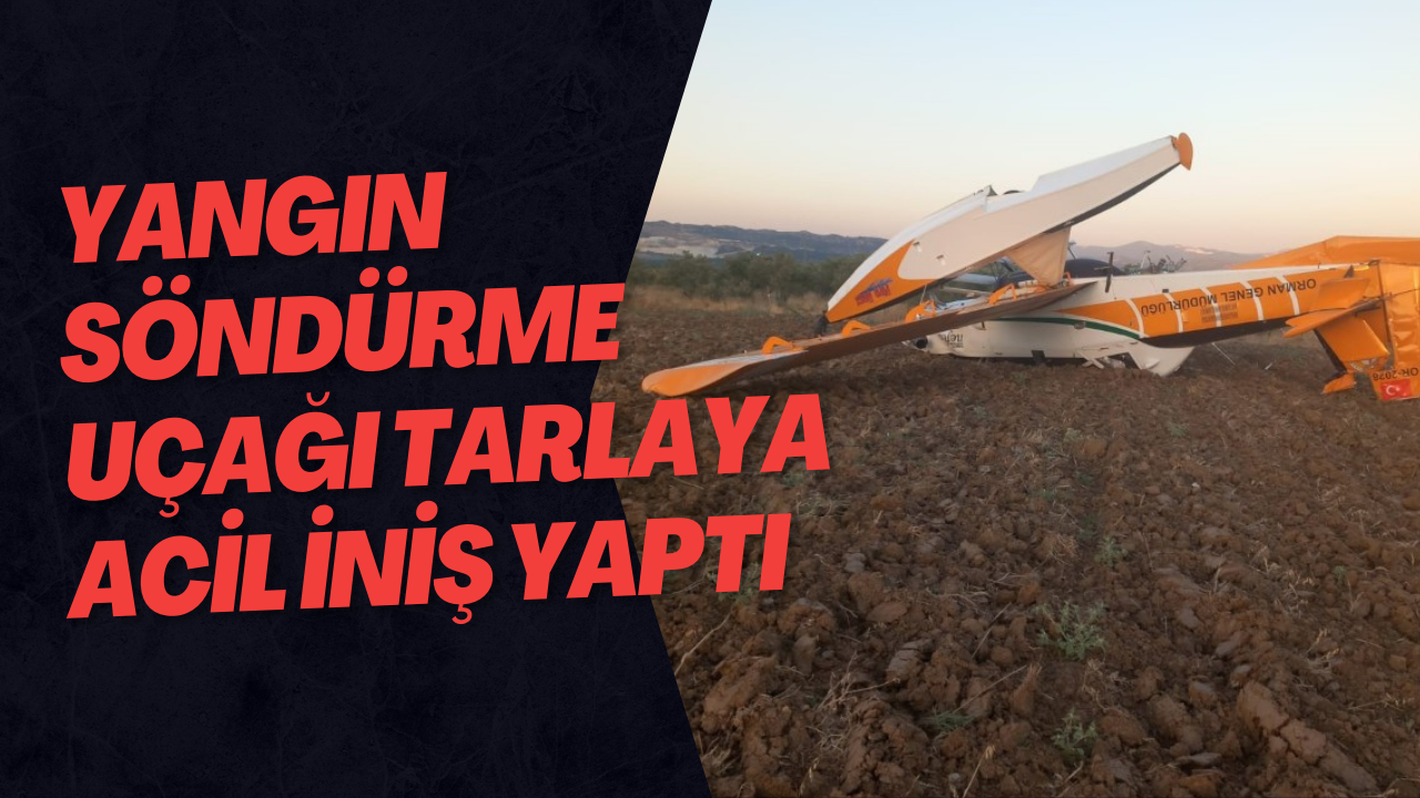 yangın söndürme uçağı tarlaya acil iniş yaptı