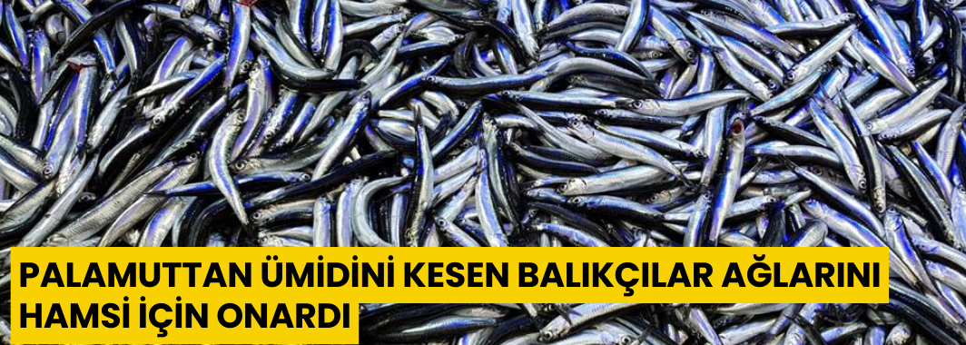 Palamuttan Ümidini Kesen Balıkçılar, Ağlarını Hamsi İçin Onardı
