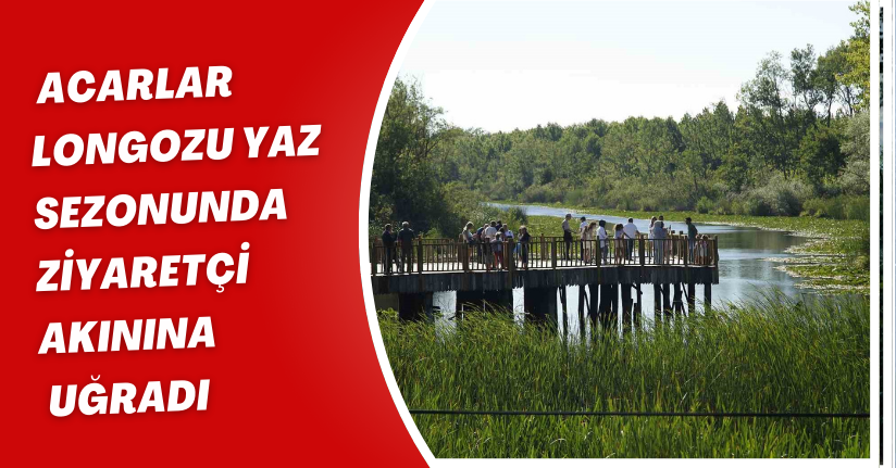 Acarlar Longozu yaz sezonunda ziyaretçi akınına uğradı