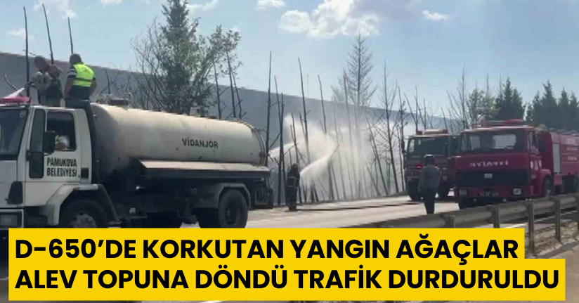 D-650’de korkutan yangın: Ağaçlar alev topuna döndü, trafik durduruldu