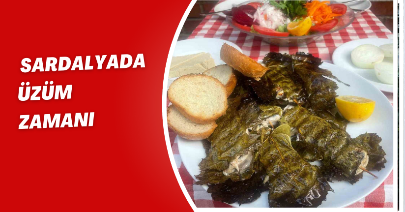 Sardalyada 