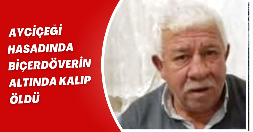 Ayçiçeği hasadında biçerdöverin altında kalıp öldü