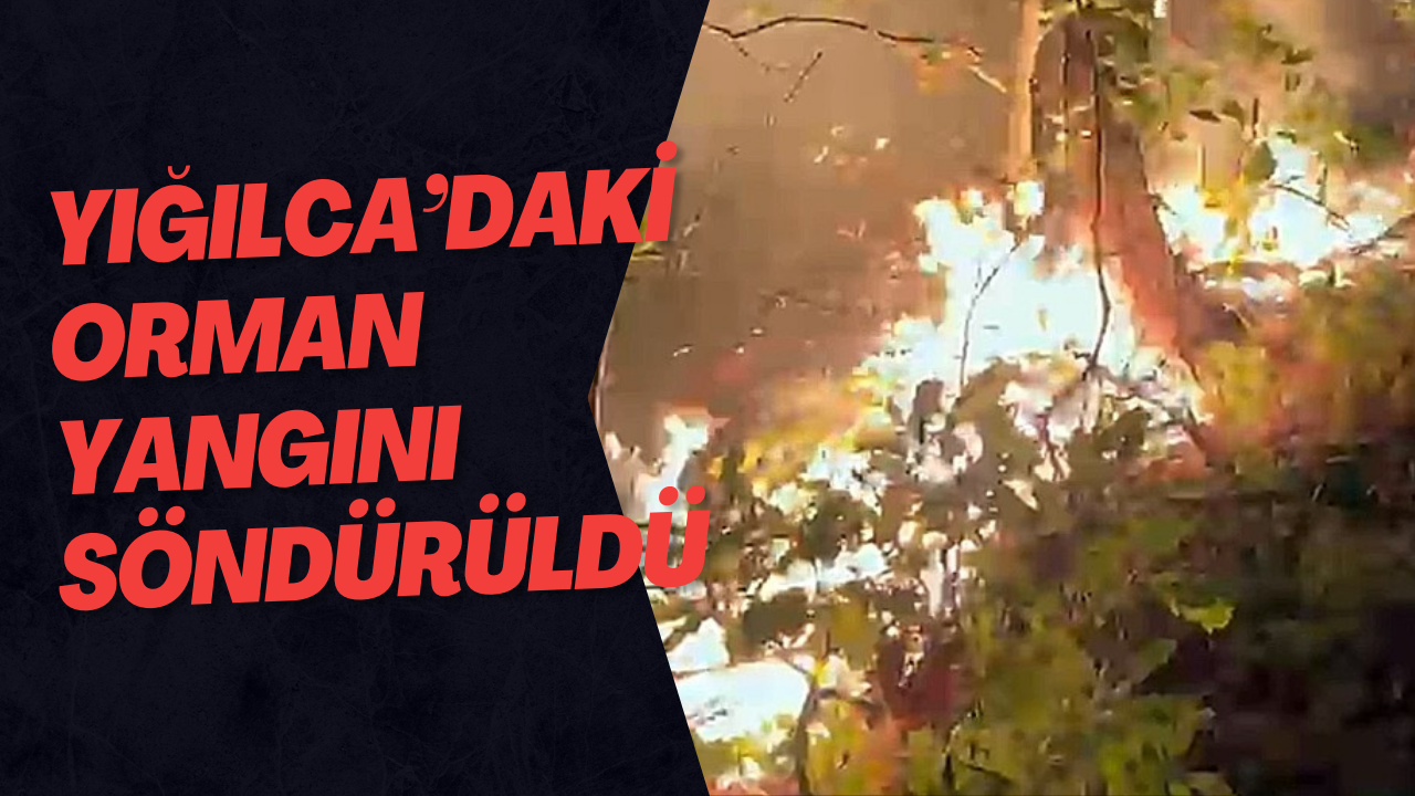 Yığılca’daki Orman Yangını Söndürüldü