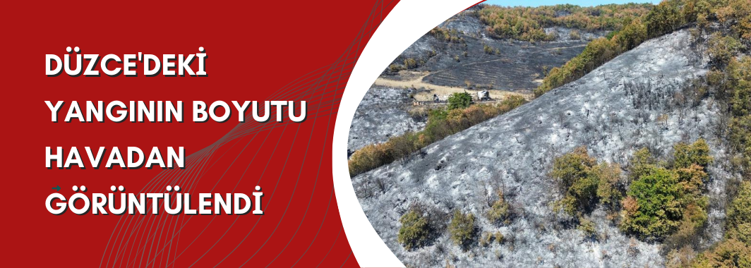 Düzce'deki Yangının Boyutu Havadan Görüntülendi