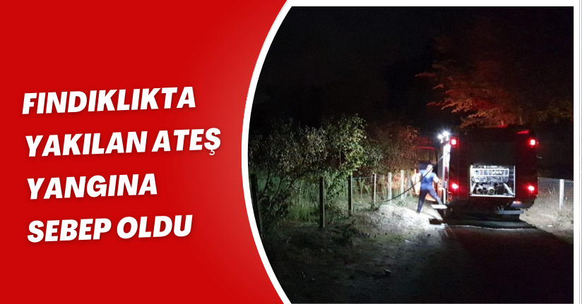 Fındıklıkta yakılan ateş yangına sebep oldu