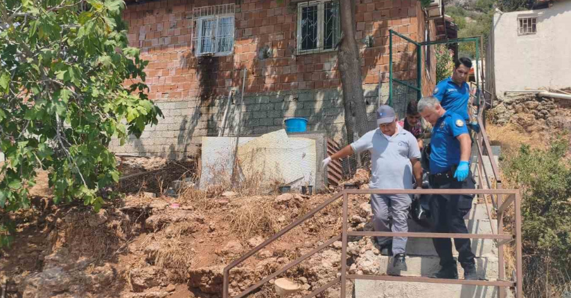 Gürültüyü devrilen kedi köpek maması zannettiler, gerçek sabah ortaya çıktı