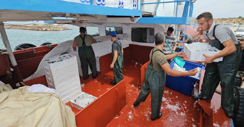 Balık fiyatları 1 ay sonra ucuzlayacak
