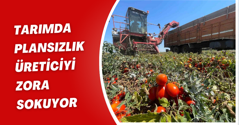 Tarımda plansızlık, üreticiyi zora sokuyor