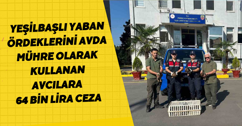 Yeşilbaşlı yaban ördeklerini avda mühre olarak kullanan avcılara 64 bin lira ceza
