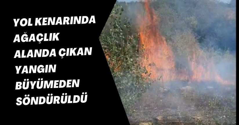 Yol kenarında, ağaçlık alanda çıkan yangın büyümeden söndürüldü