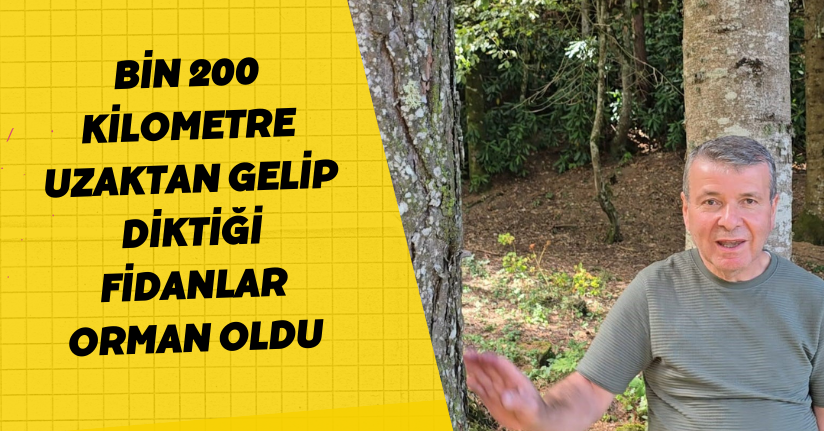 Bin 200 kilometre uzaktan gelip diktiği fidanlar orman oldu