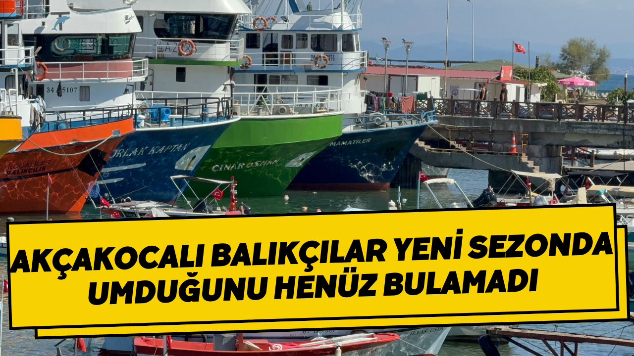 Akçakocalı Balıkçılar Yeni Sezonda Umduğunu Henüz Bulamadı
