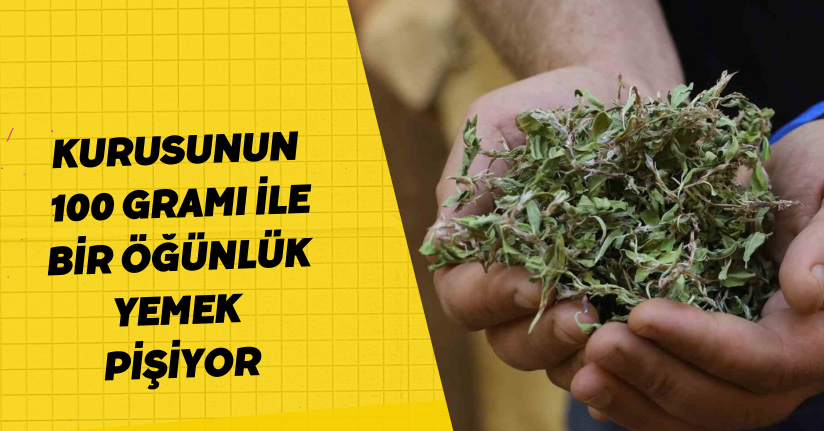 Kurusunun 100 gramı ile bir öğünlük yemek pişiyor