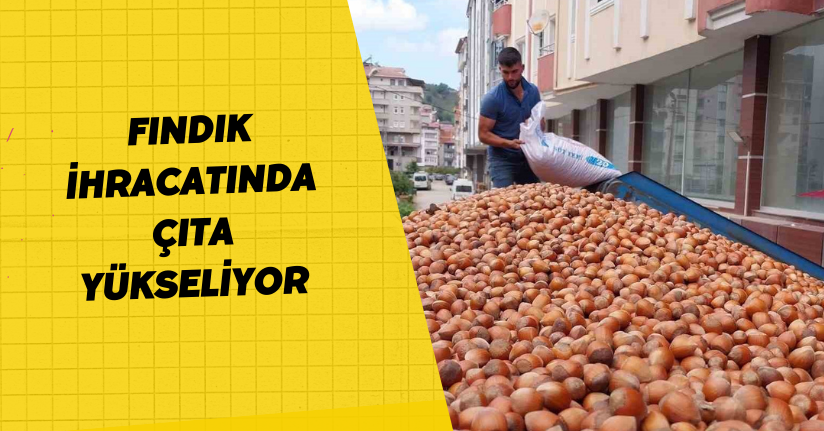 Fındık ihracatında çıta yükseliyor