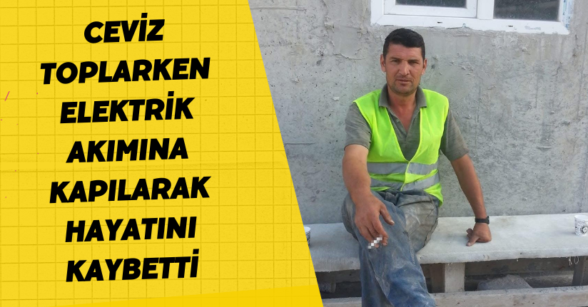 Ceviz toplarken elektrik akımına kapılarak hayatını kaybetti