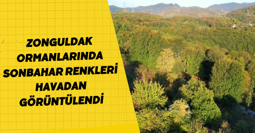 Zonguldak ormanlarında sonbahar renkleri havadan görüntülendi