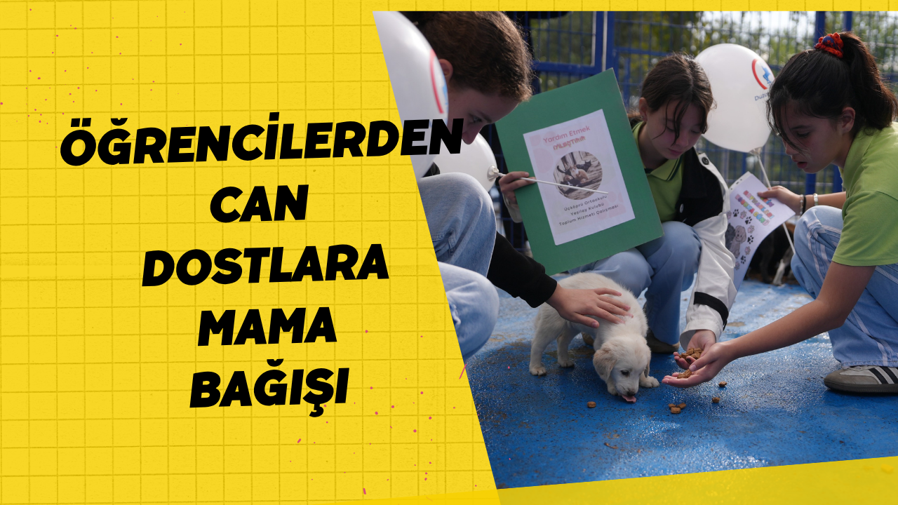 Öğrencilerden Can Dostlara Mama Bağışı