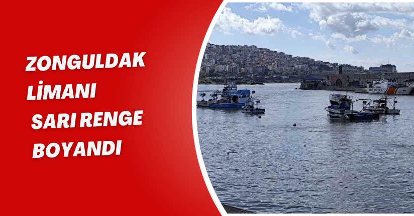 Zonguldak Limanı sarı renge boyandı