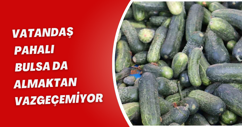 Vatandaş pahalı bulsa da almaktan vazgeçemiyor