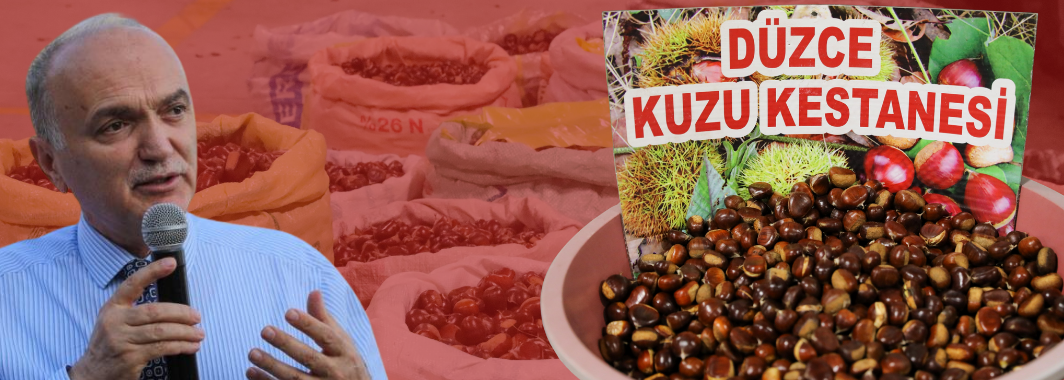 Kuzu Kestane Sıkı Pazarlıklarla Alıcı Buluyor