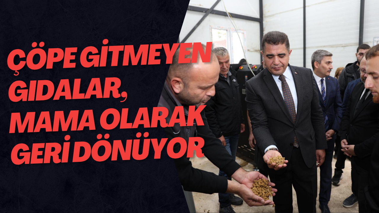 Çöpe Gitmeyen Gıdalar, Mama Olarak Geri Dönüyor