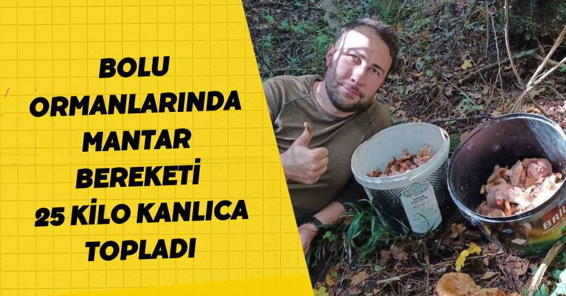 Bolu ormanlarında mantar bereketi: 25 kilo kanlıca topladı