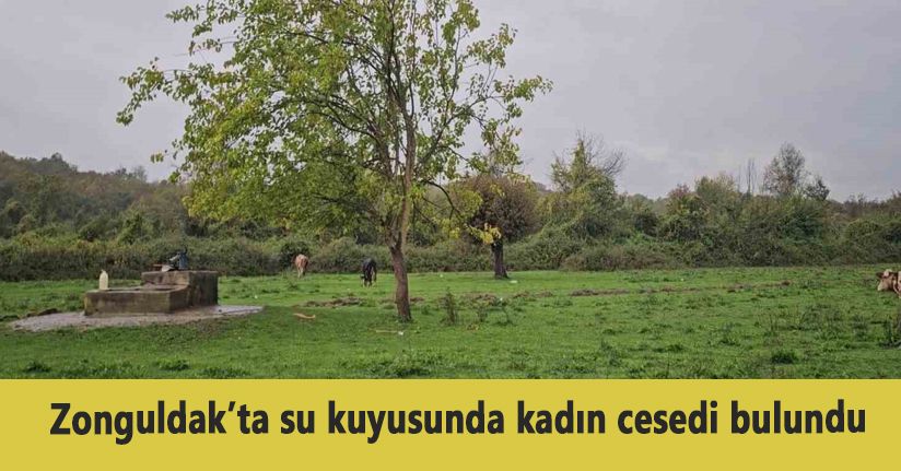 Zonguldak’ta su kuyusunda kadın cesedi bulundu