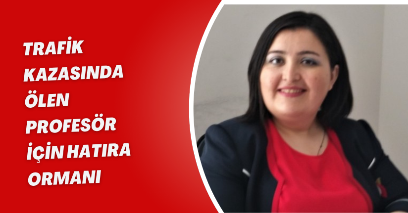 Trafik kazasında ölen profesör için hatıra ormanı