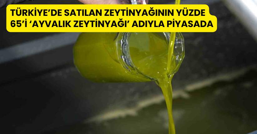 Türkiye’de satılan zeytinyağının yüzde 65’i ‘Ayvalık zeytinyağı’ adıyla piyasada