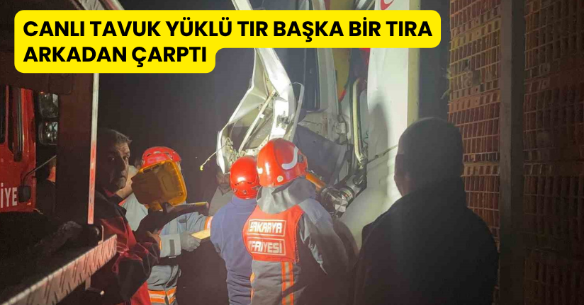 Canlı tavuk yüklü tır başka bir tıra arkadan çarptı