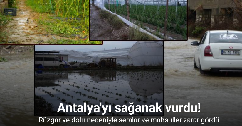 Antalya’da sağanak seraları da vurdu