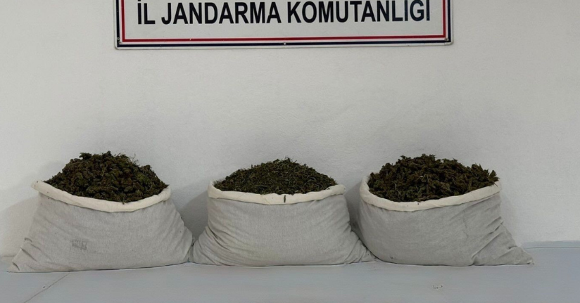 Diyarbakır’da 15 kilo skunk ele geçirildi