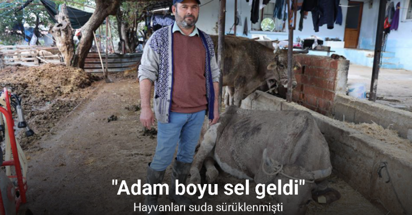 Hayvanları sele kapılan Aktaş: 