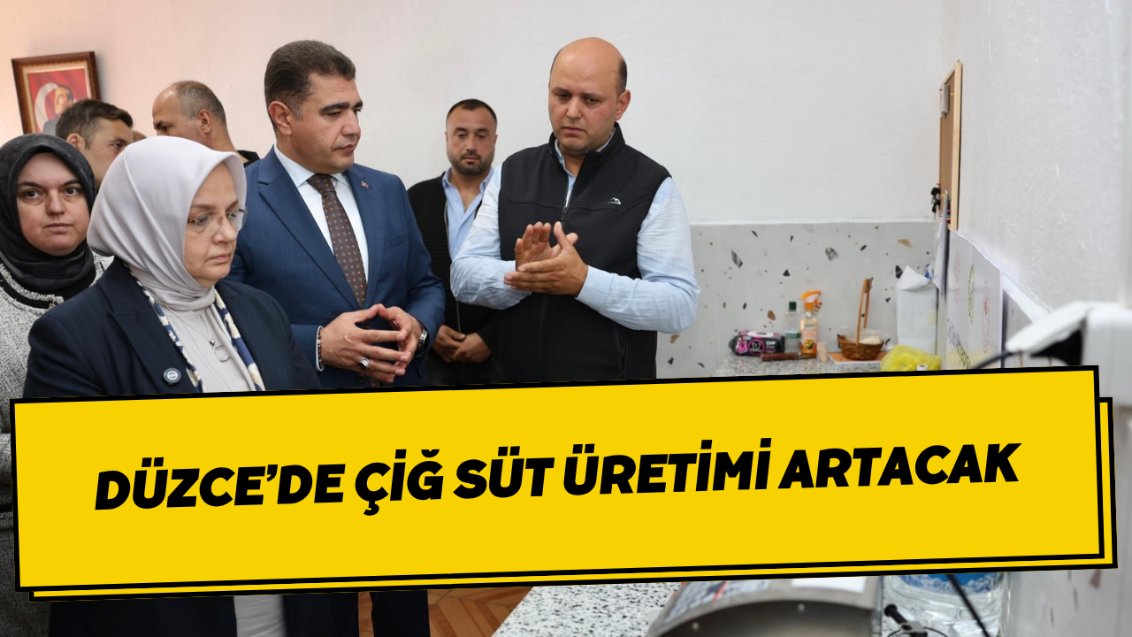 Düzce’de Çiğ Süt Üretimi Artacak