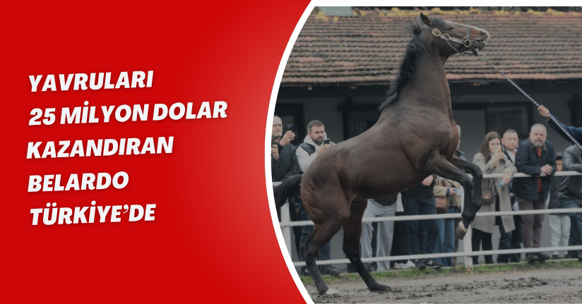 Yavruları 25 milyon dolar kazandıran Belardo, Türkiye’de