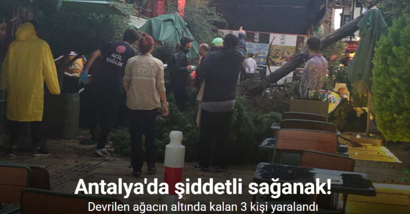 Sağanak ve rüzgar aniden bastırdı, devrilen ağacın altında kalan 3 kişi yaralandı