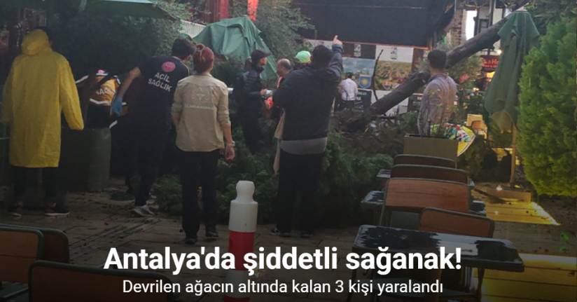 Sağanak ve rüzgar aniden bastırdı, devrilen ağacın altında kalan 3 kişi yaralandı
