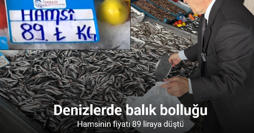 Denizlerde balık bolluğu: Hamsinin fiyatı 89 liraya düştü